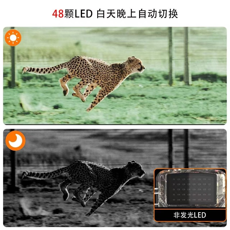 HOT SALE DL001 Hunting Camera  - Outdoor Hunting Video Camera 评论和价格