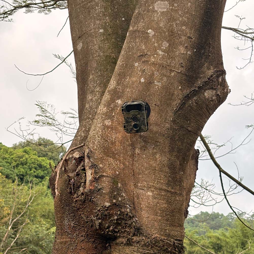 Hunting Trail Camera 16MP 1080 - Outdoor Hunting Video Camera 评论和价格