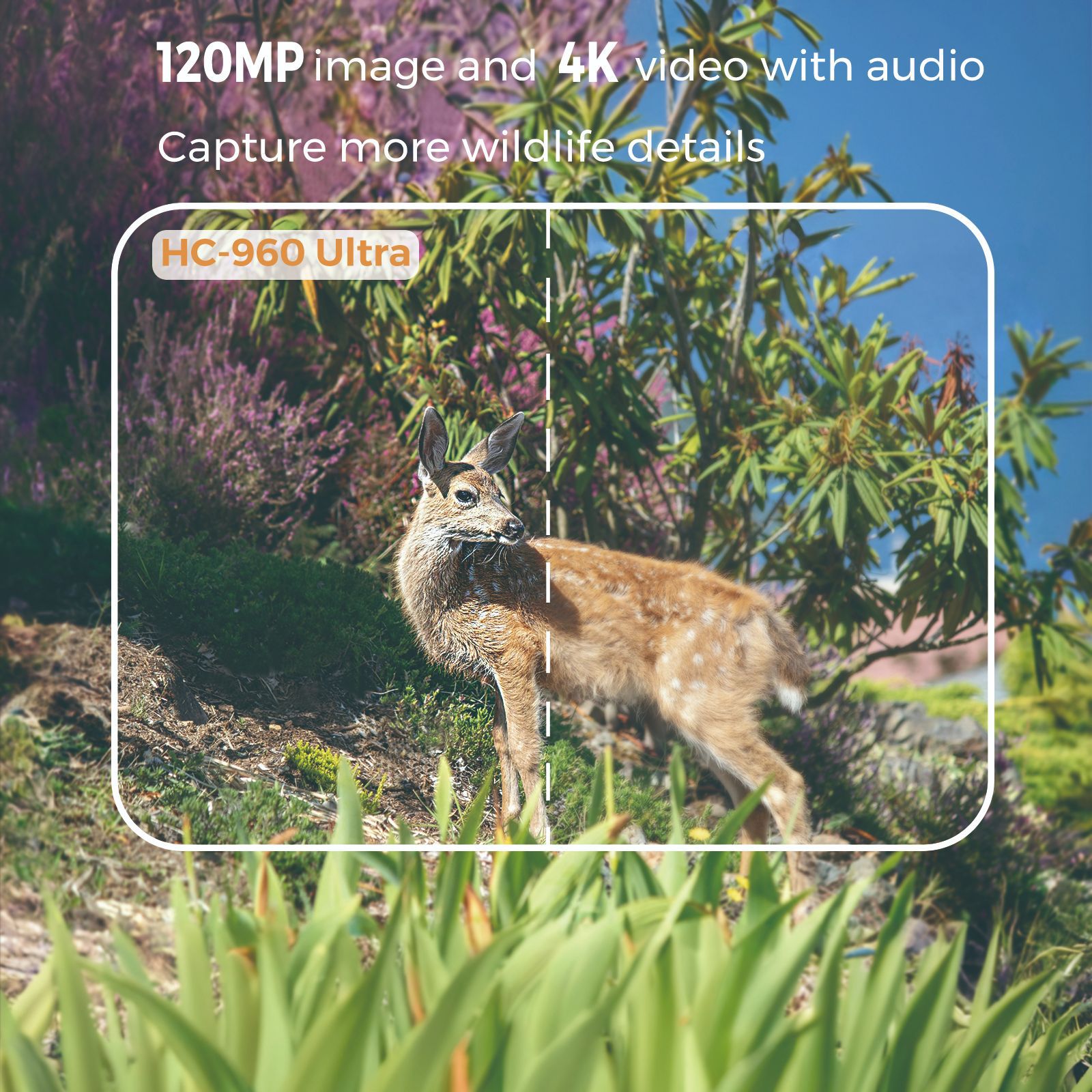 Outdoor 4K Video 120MP Photo 4 - Outdoor Hunting Video Camera 评论和价格