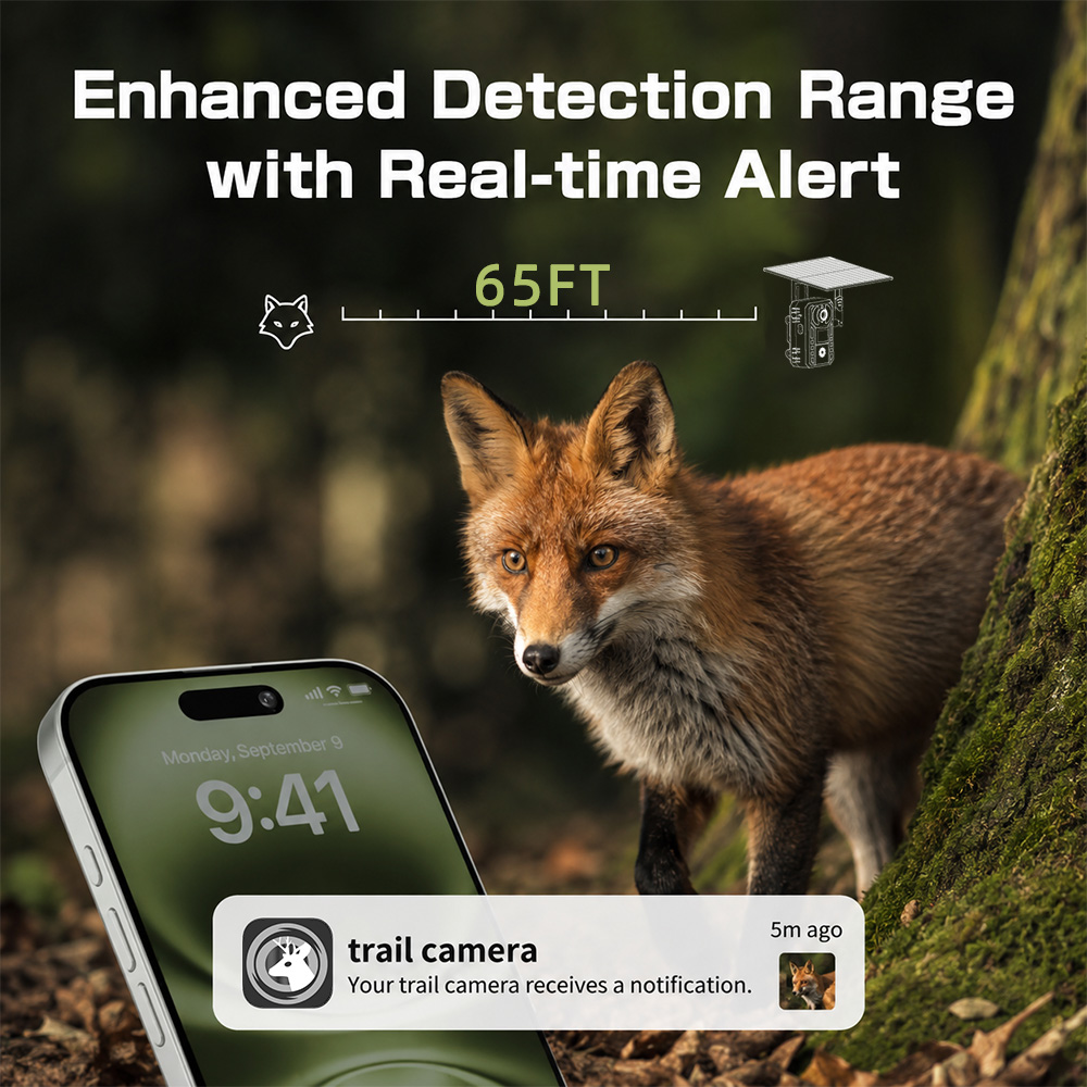 EU 4G Cellular 2K Battery Sola - Outdoor Hunting Video Camera 评论和价格