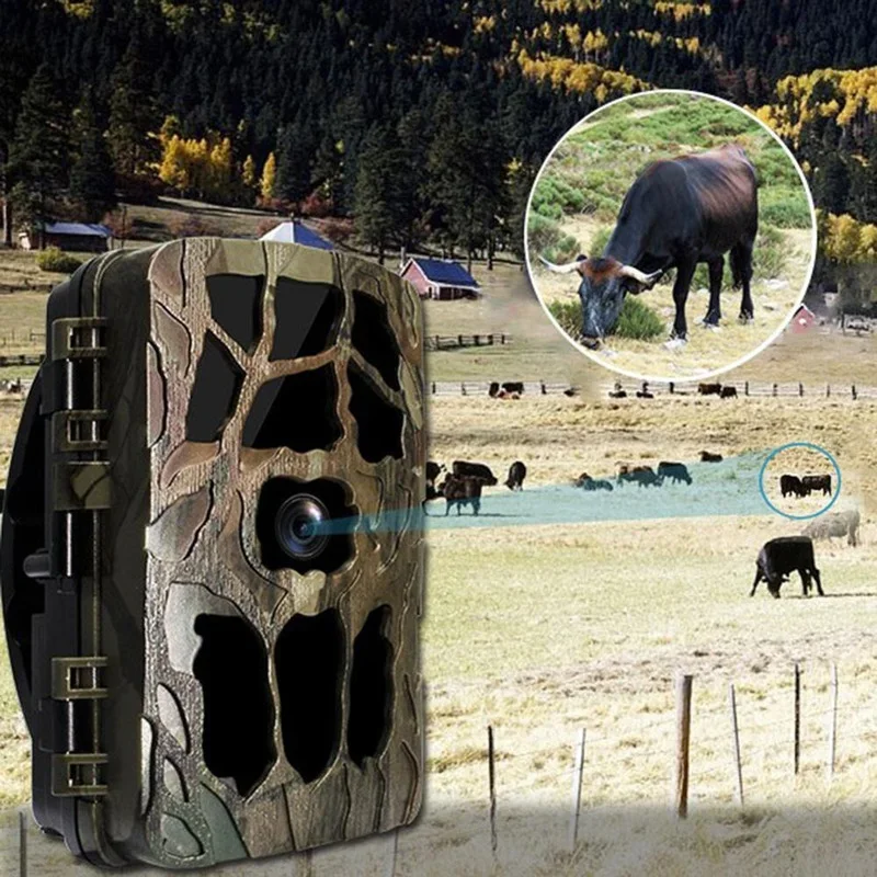 H982 IP66 Waterproof 4K Outdoo - Outdoor Hunting Video Camera 评论和价格